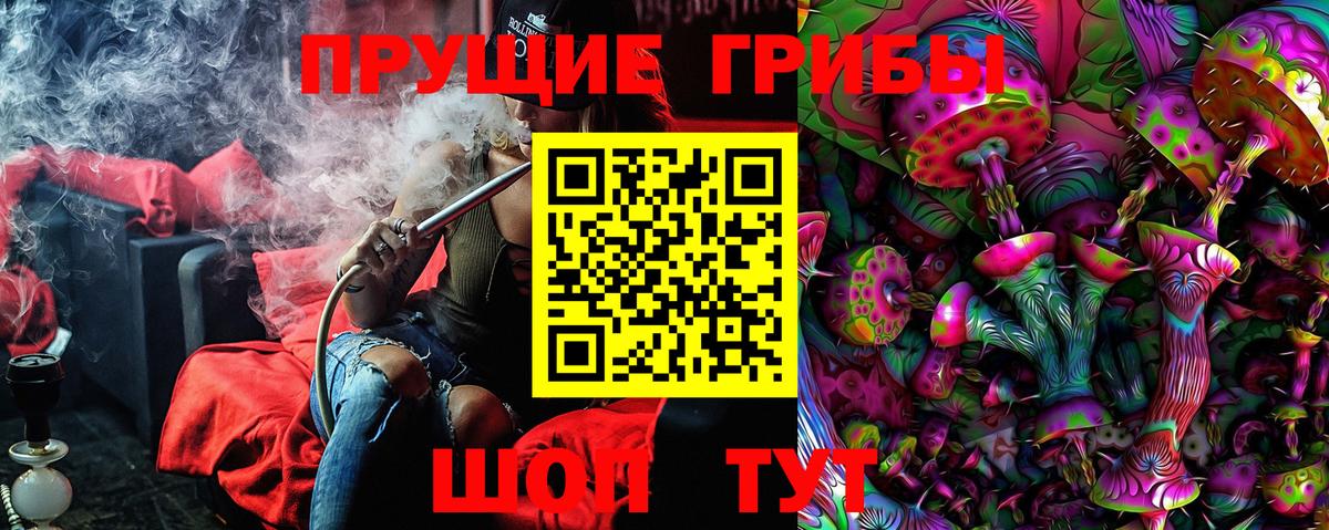 Нальчик  Галлюциногенные грибы прущие грибы  Вход с VPN 